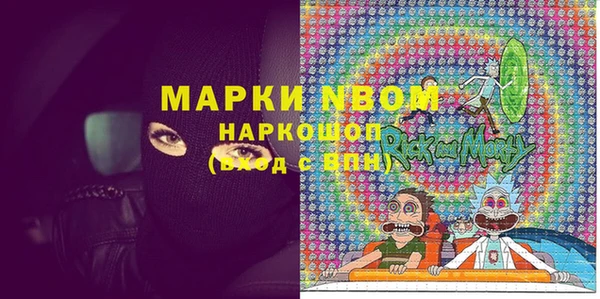 гидра Покачи
