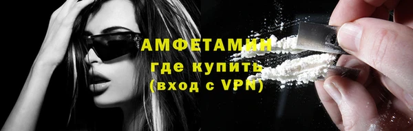 гидра Покачи