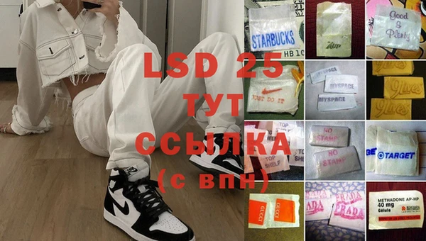 гидра Покачи