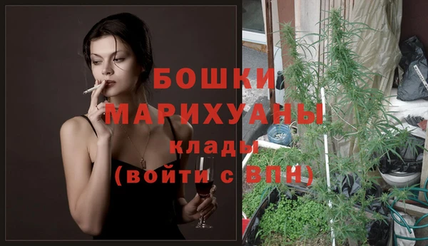spice Гатчина