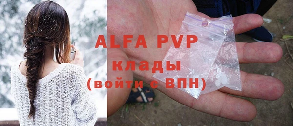 гидра Покачи