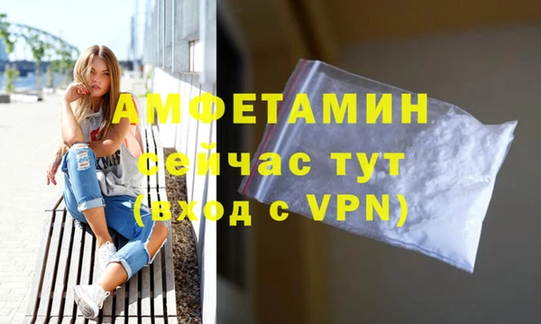 гидра Покачи