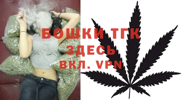 МДПВ Гвардейск
