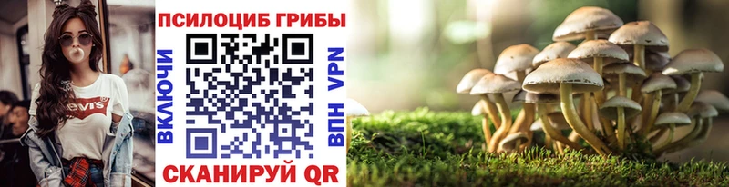 Галлюциногенные грибы Psilocybe  ОМГ ОМГ ССЫЛКА  Карпинск 
