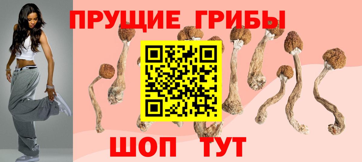 Псилоцибиновые грибы MAGIC MUSHROOMS  Карпинск  Галлюциногенные грибы ЛСД 